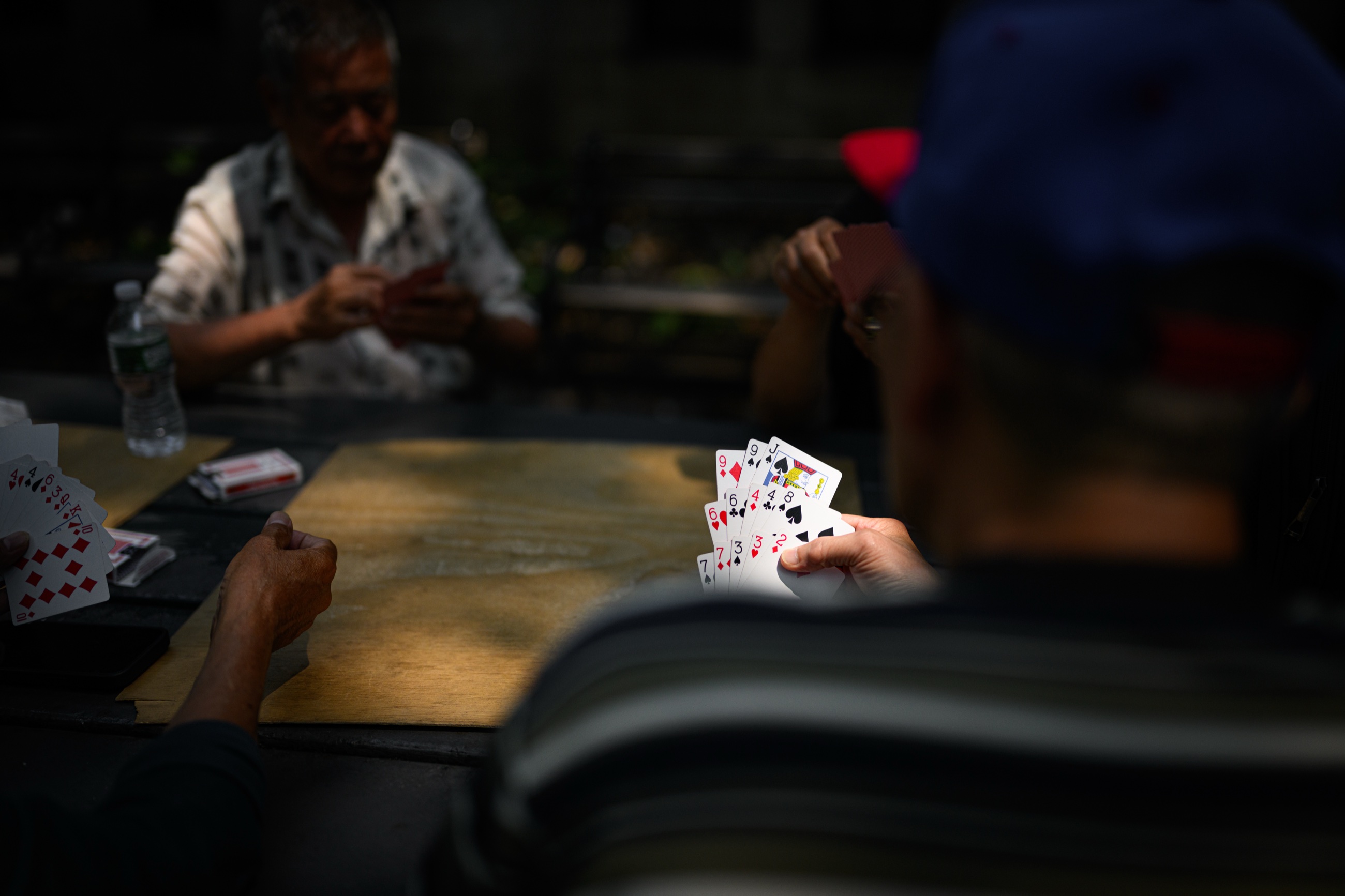 A hand of cards catching the afternoon light in a Chinatown park