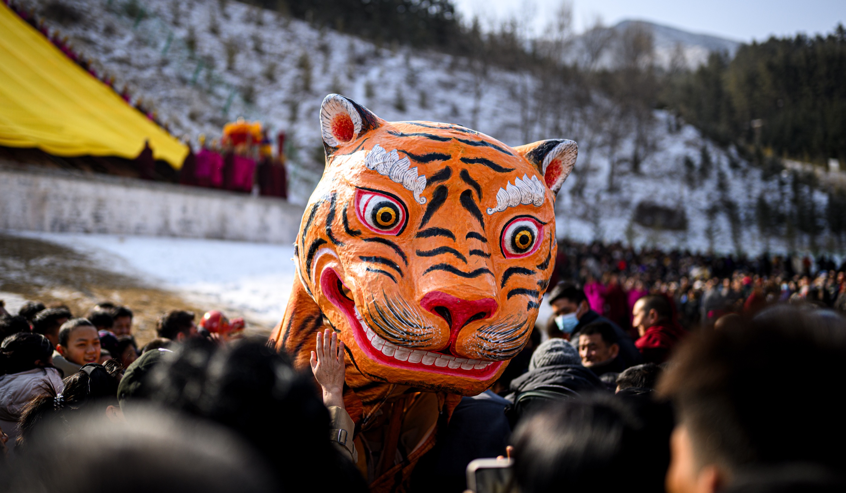A painted tiger mask rising above the crowd