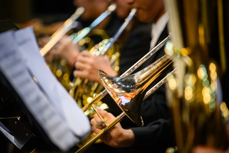 Orchestra, photograph 8 of 13