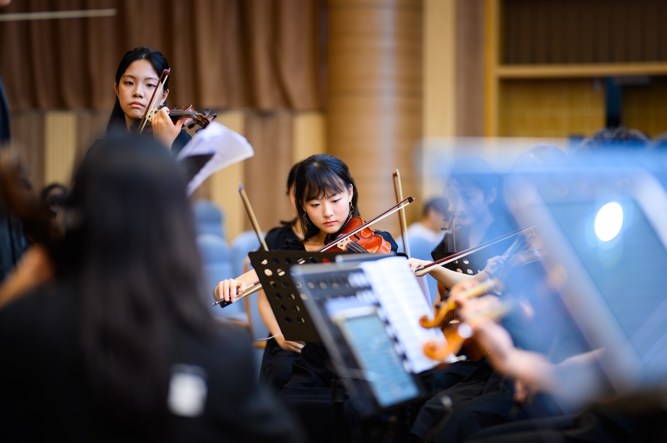 Orchestra, photograph 11 of 13