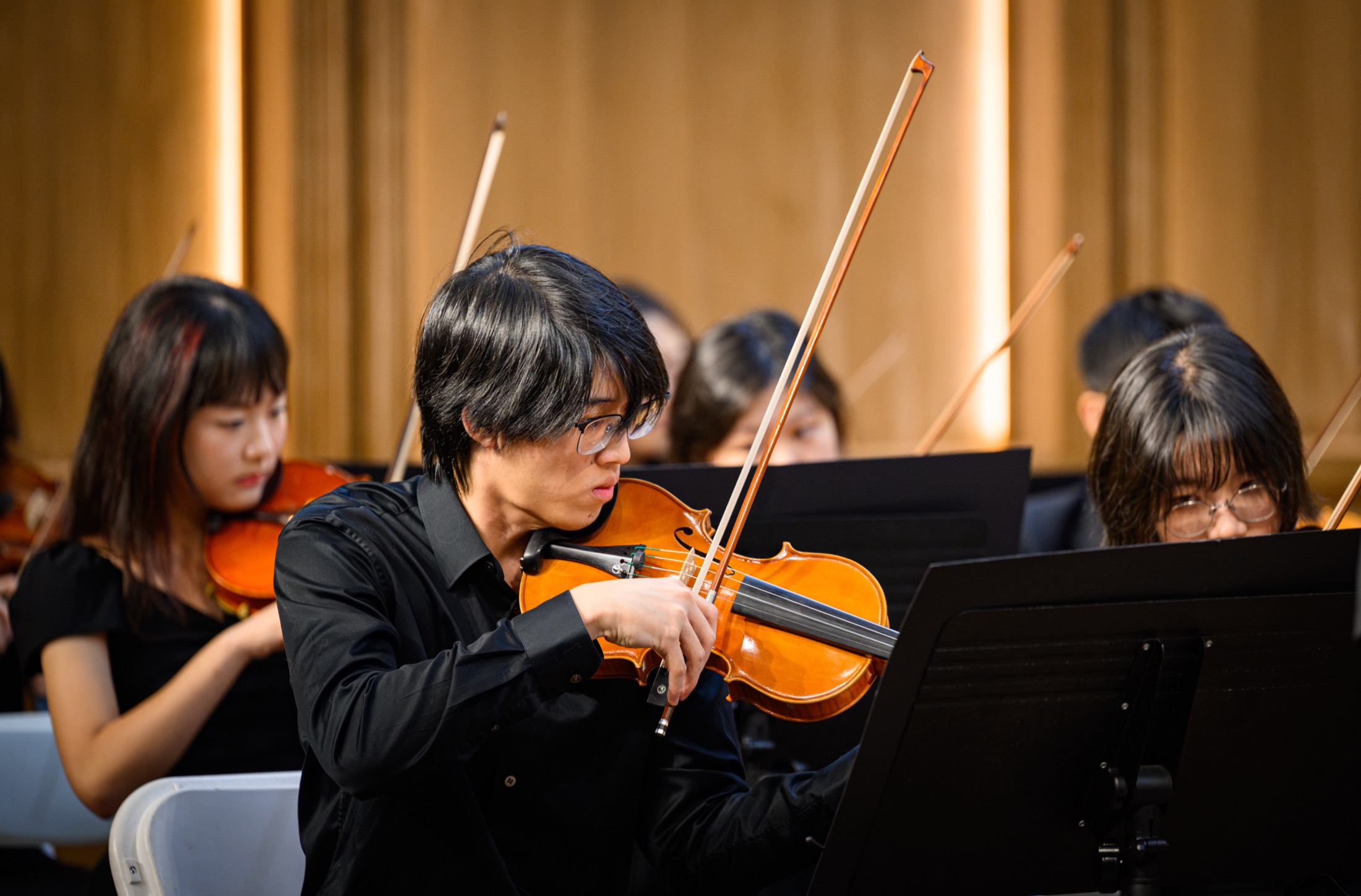 Orchestra, photograph 12 of 13